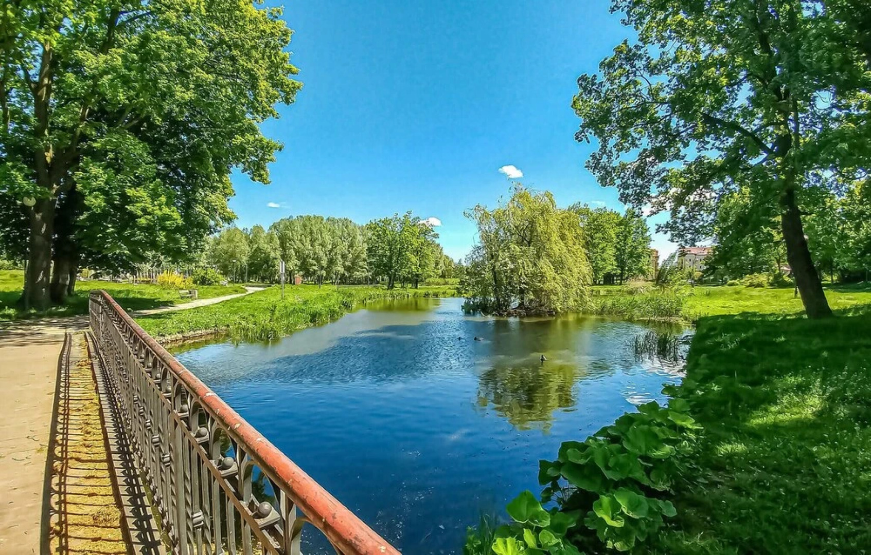 Awesome Apartment in Pruszcz Gdanski With 1 Bedrooms and Wifi