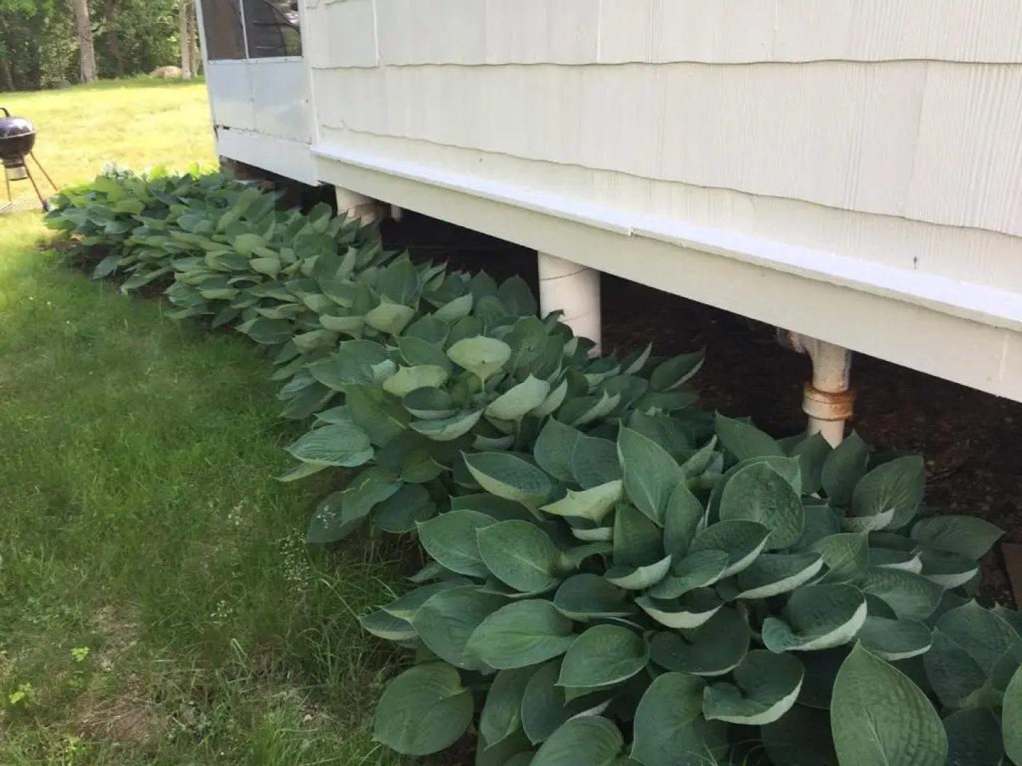 Eden Village Motel & Cottages