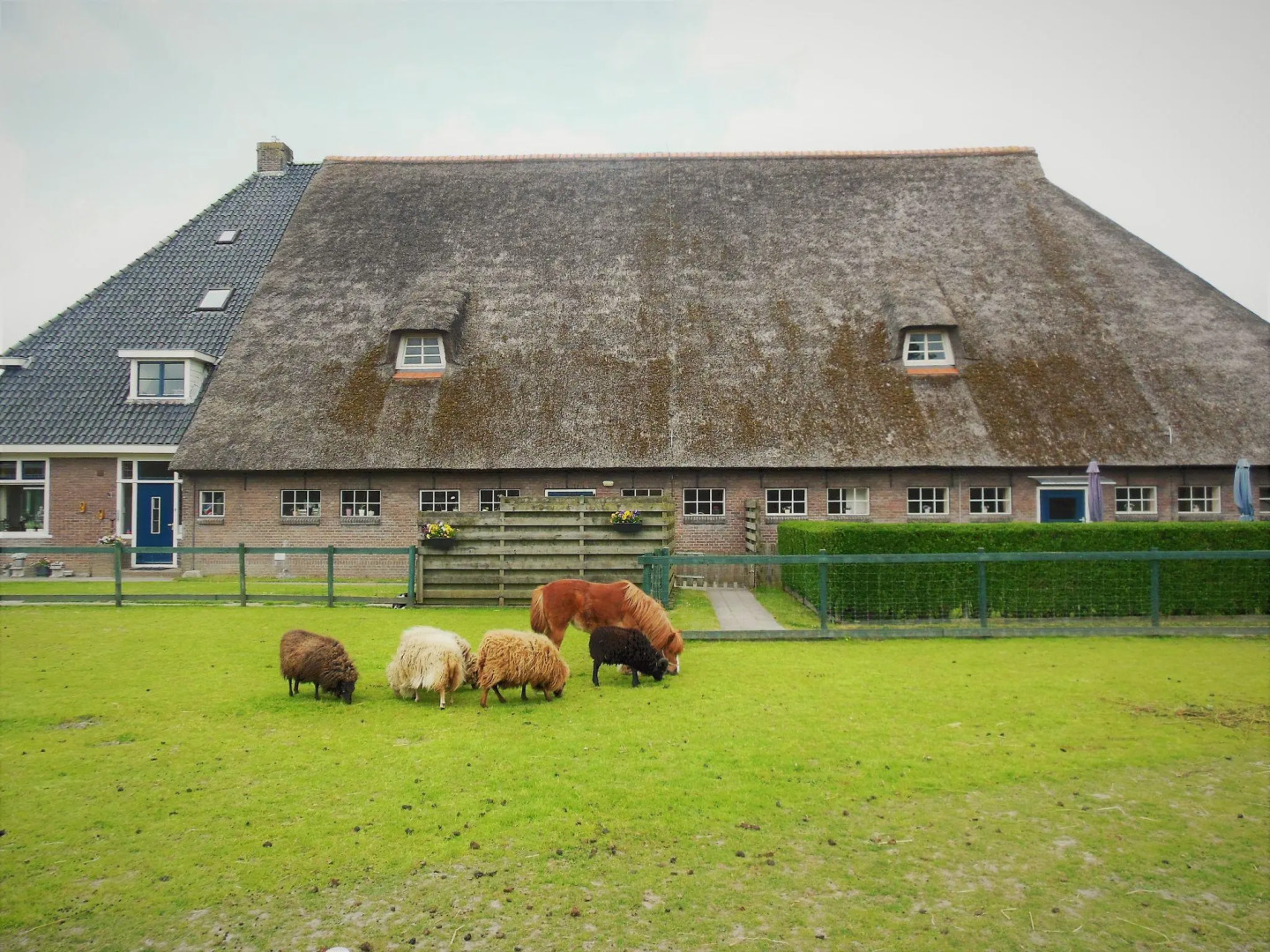 Spacious & typical Farmhouse, in the village of Arum, close to the IJsselmeer!