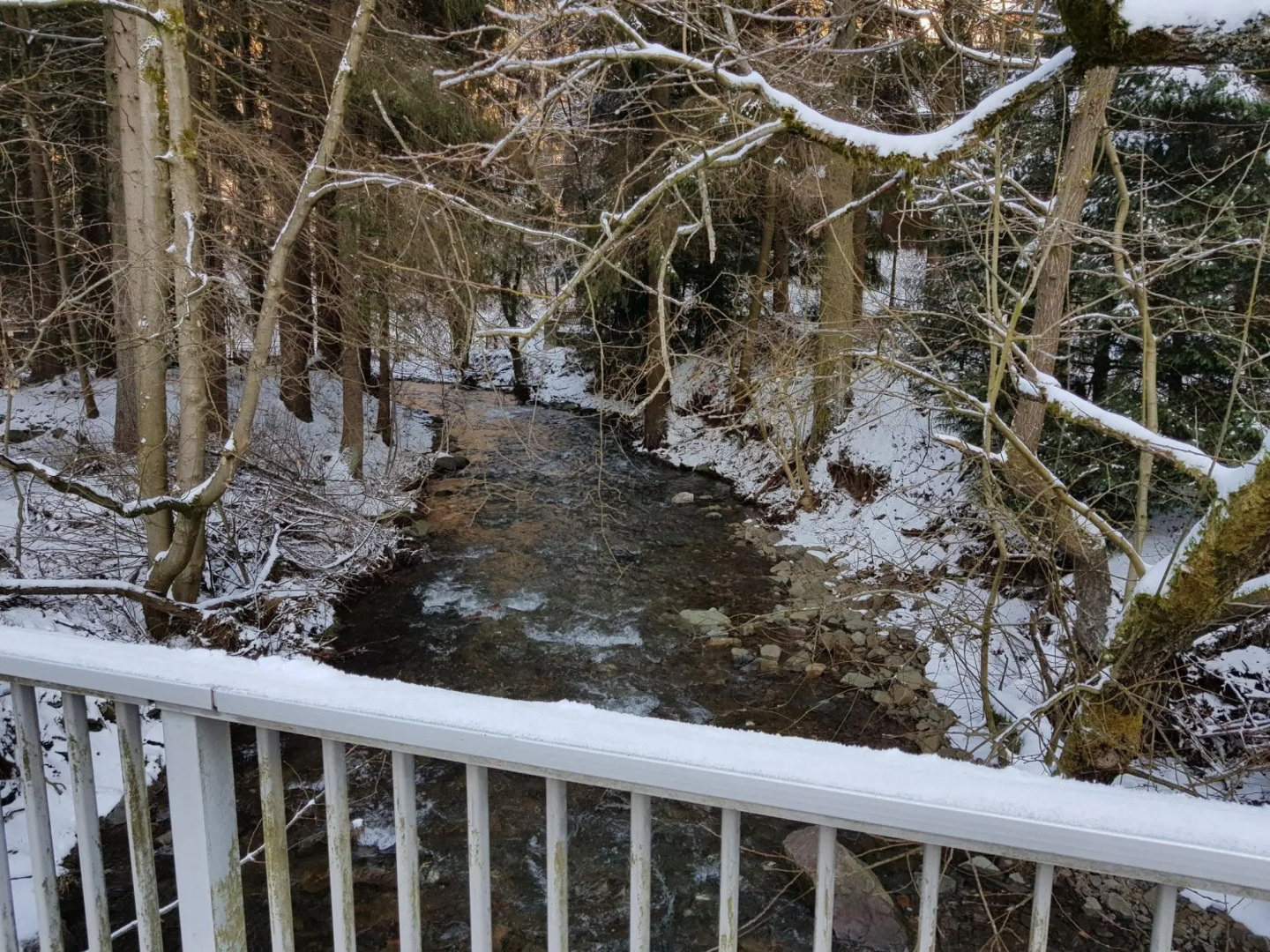 Spacious Apartment in Upper Harz near River