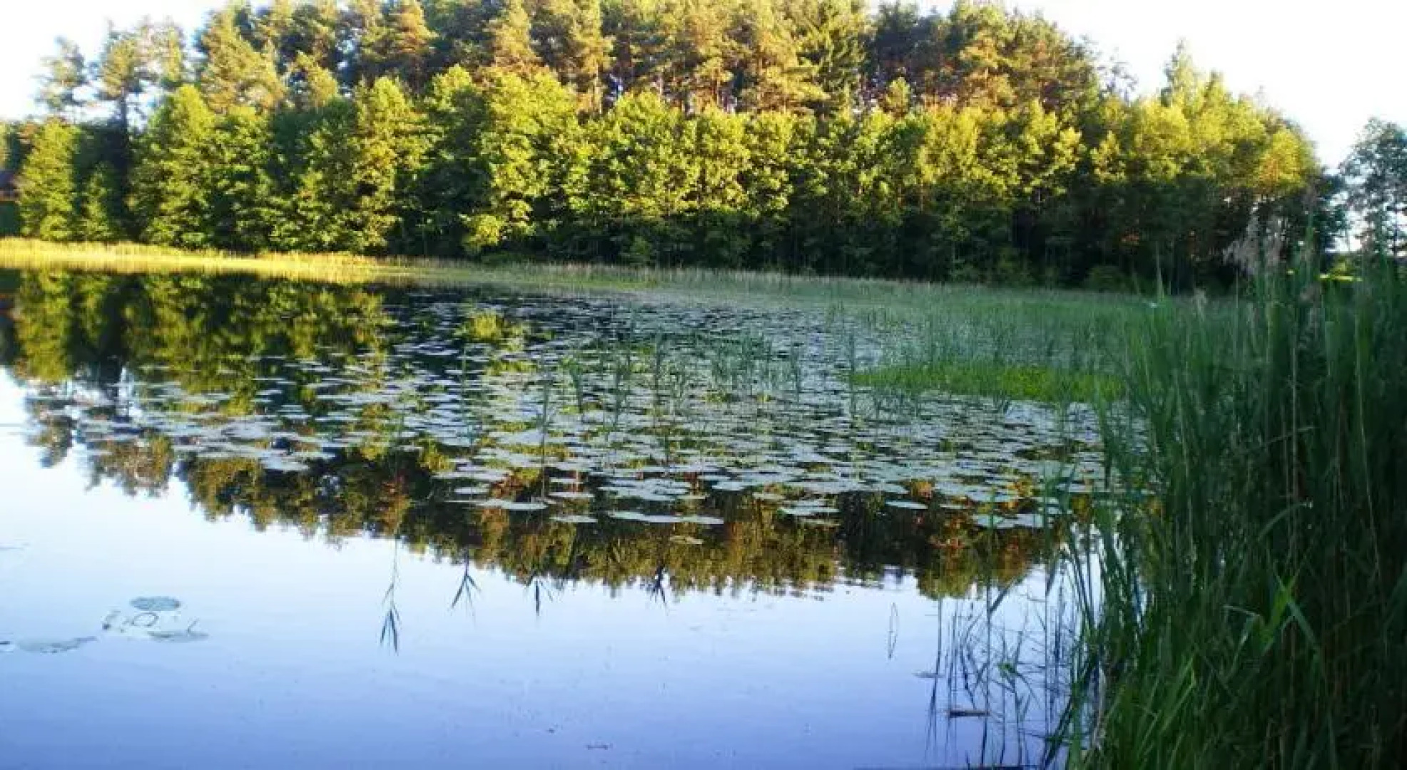 Padumbliai - 5 Sezonas