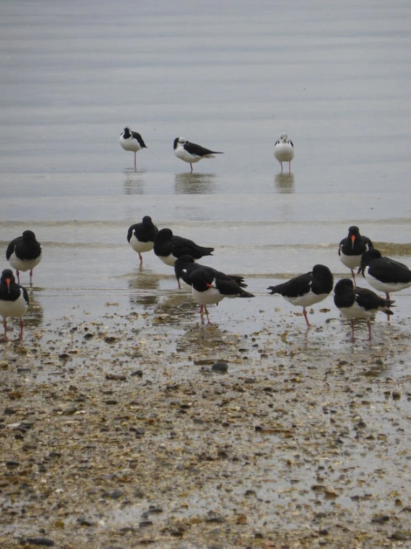 A Relaxed Haven by the sea