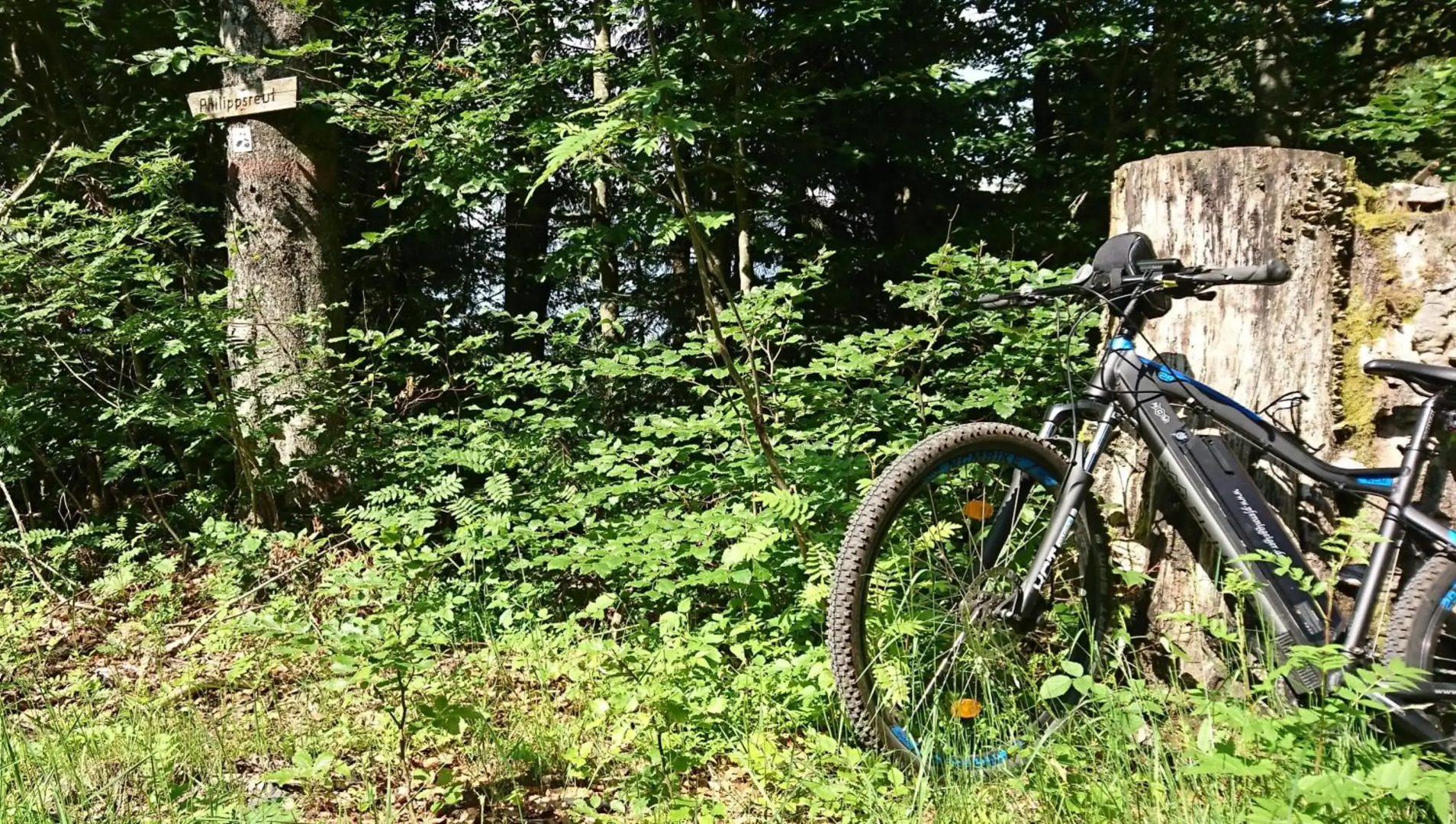 Pension Philippsreut "Zum Pfenniggeiger"