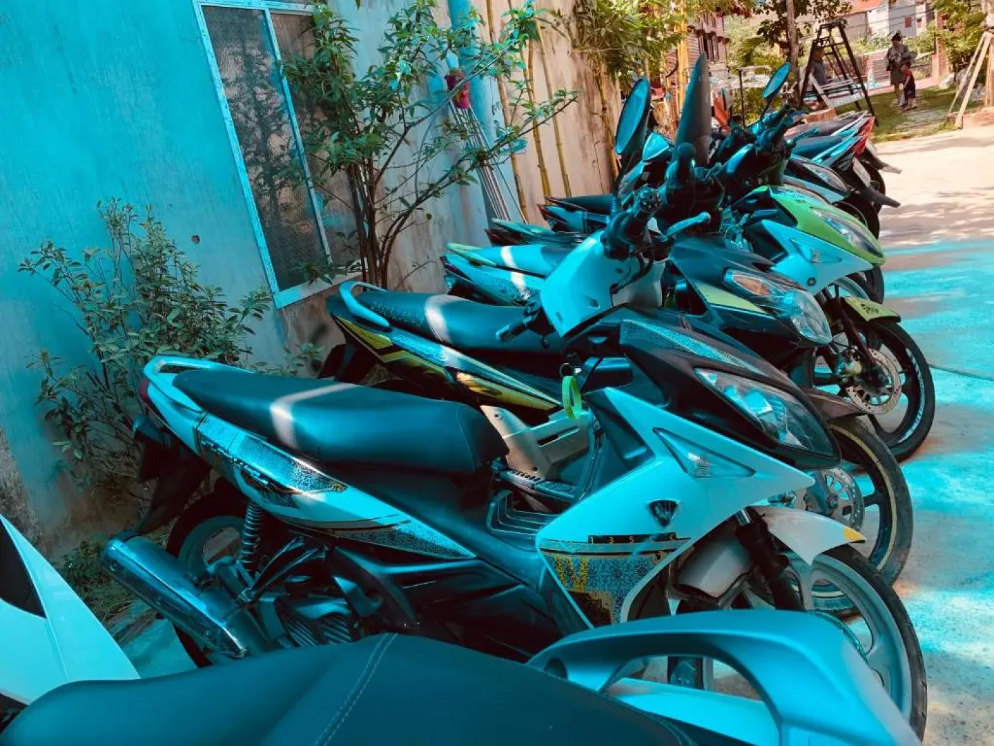 Vu's Homestay Phong Nha