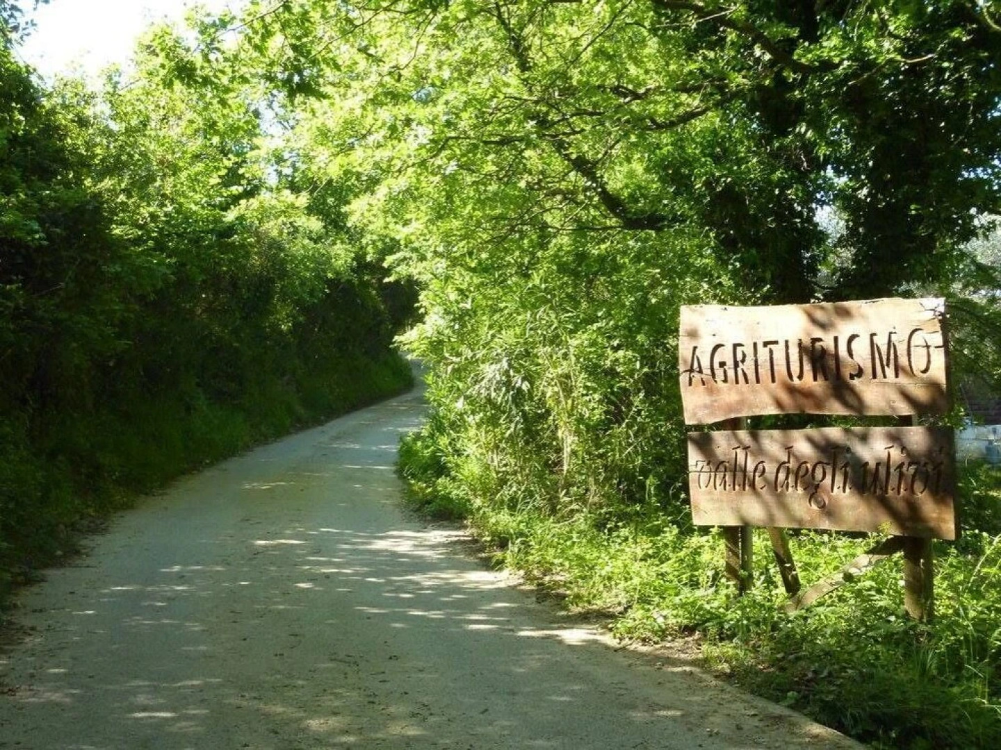 Valle Degli Ulivi