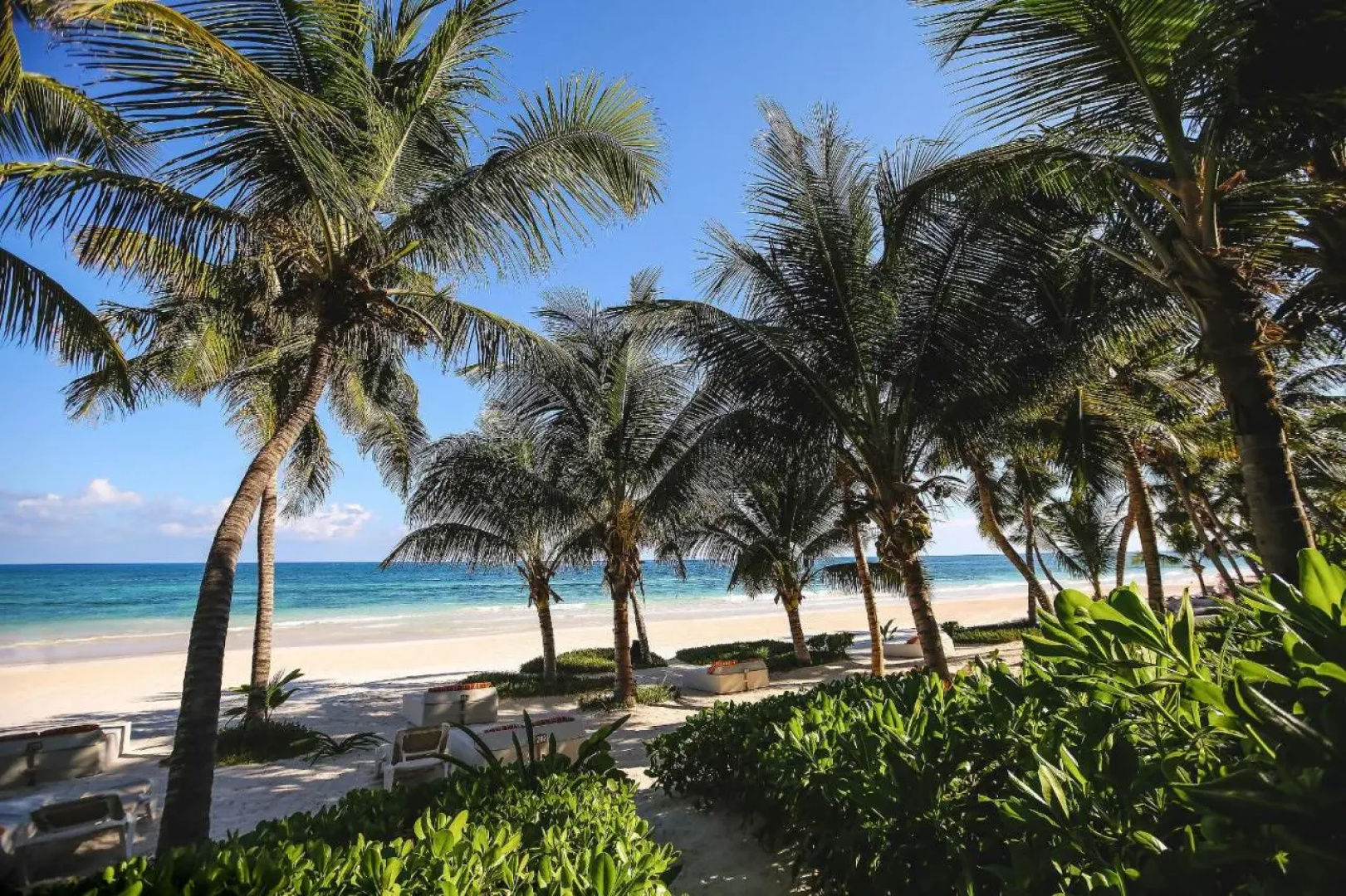 The Beach Tulum Hotel