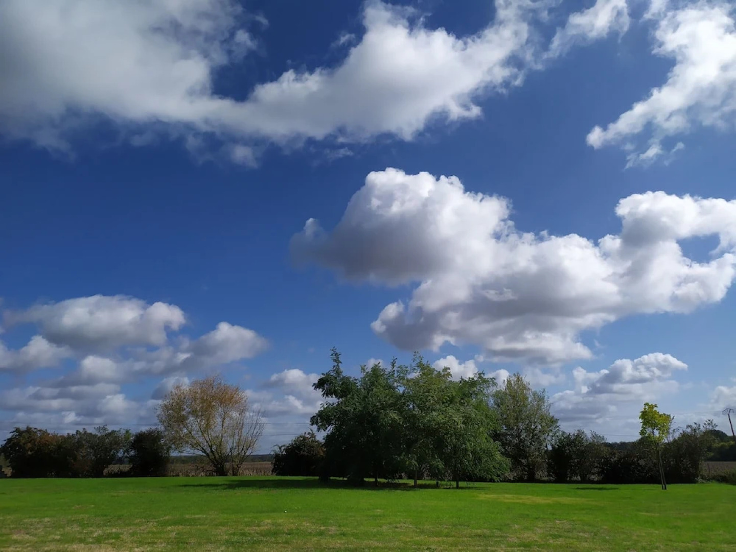 La Halte aux Oiseaux