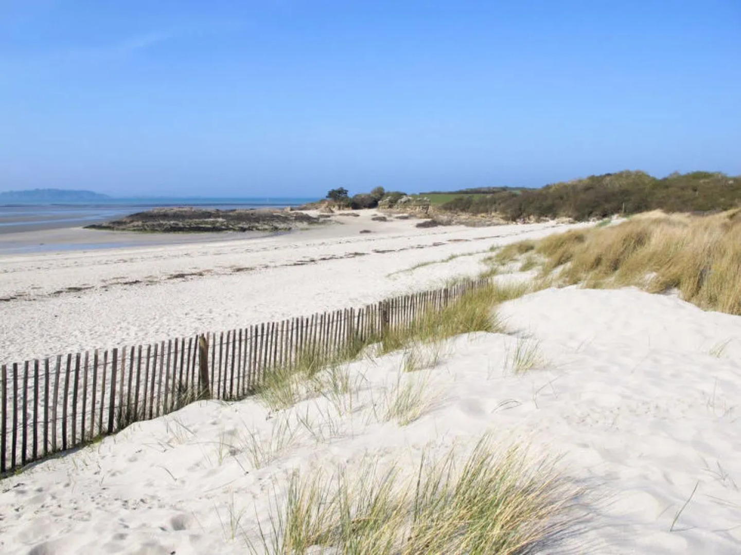 Bleu Marine (LEX101)