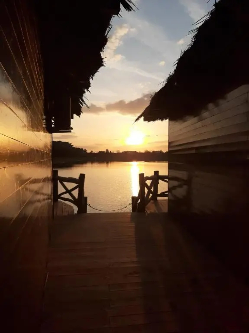 Senec vilka na jazere 2