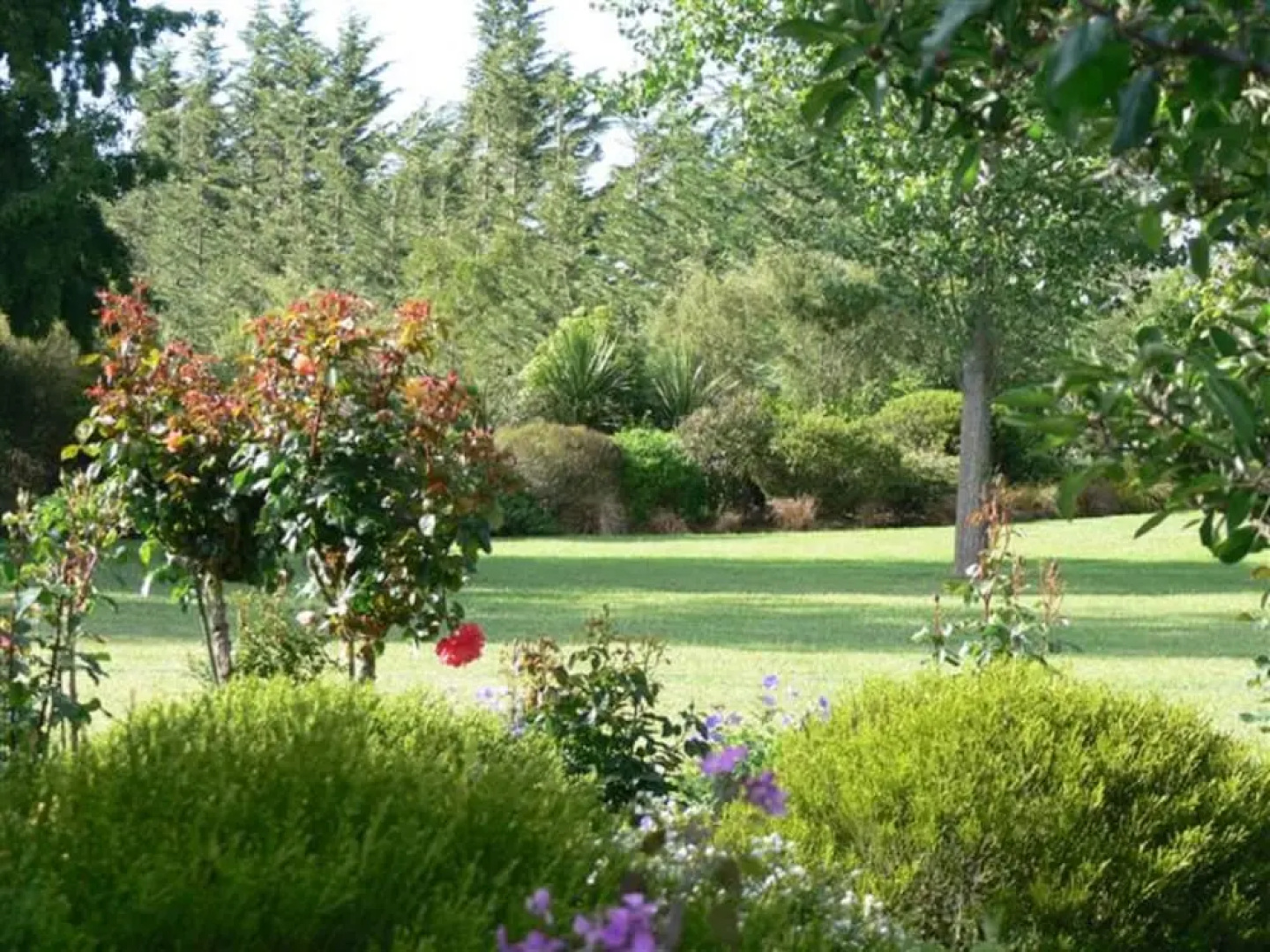 Garden View Bed & Breakfast Rolleston