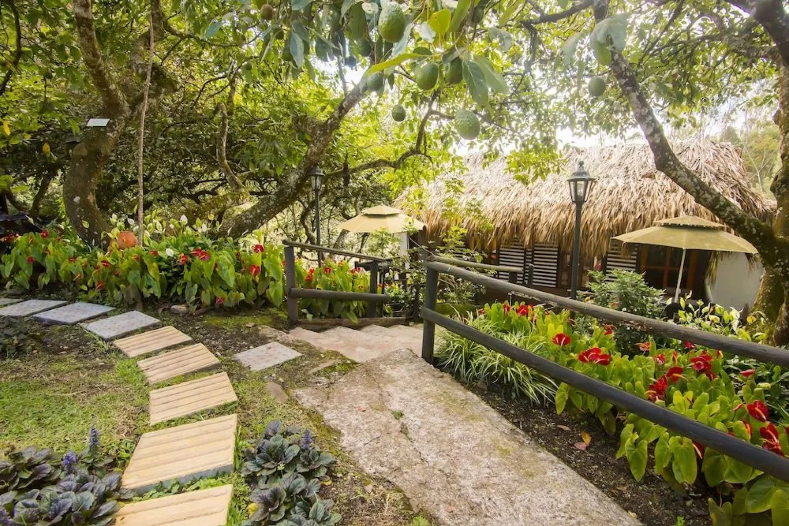 Ayenda Llanogrande Inn