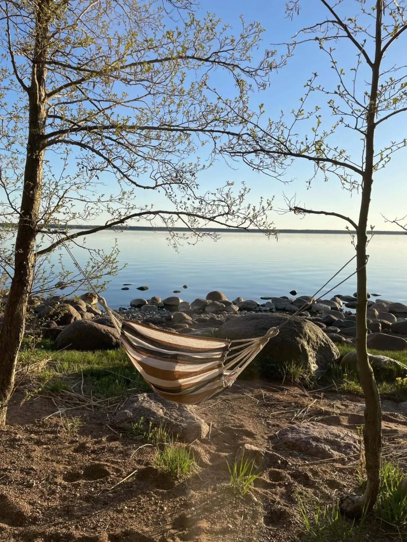 Финский Лес