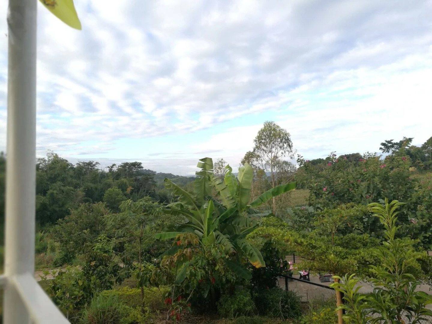 บ้านปลายฝัน Baanplaifun