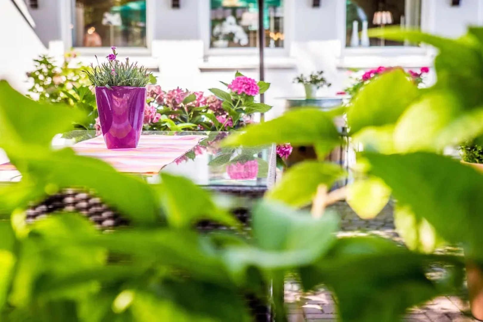 Hotel Restaurant Hackmann-Atter