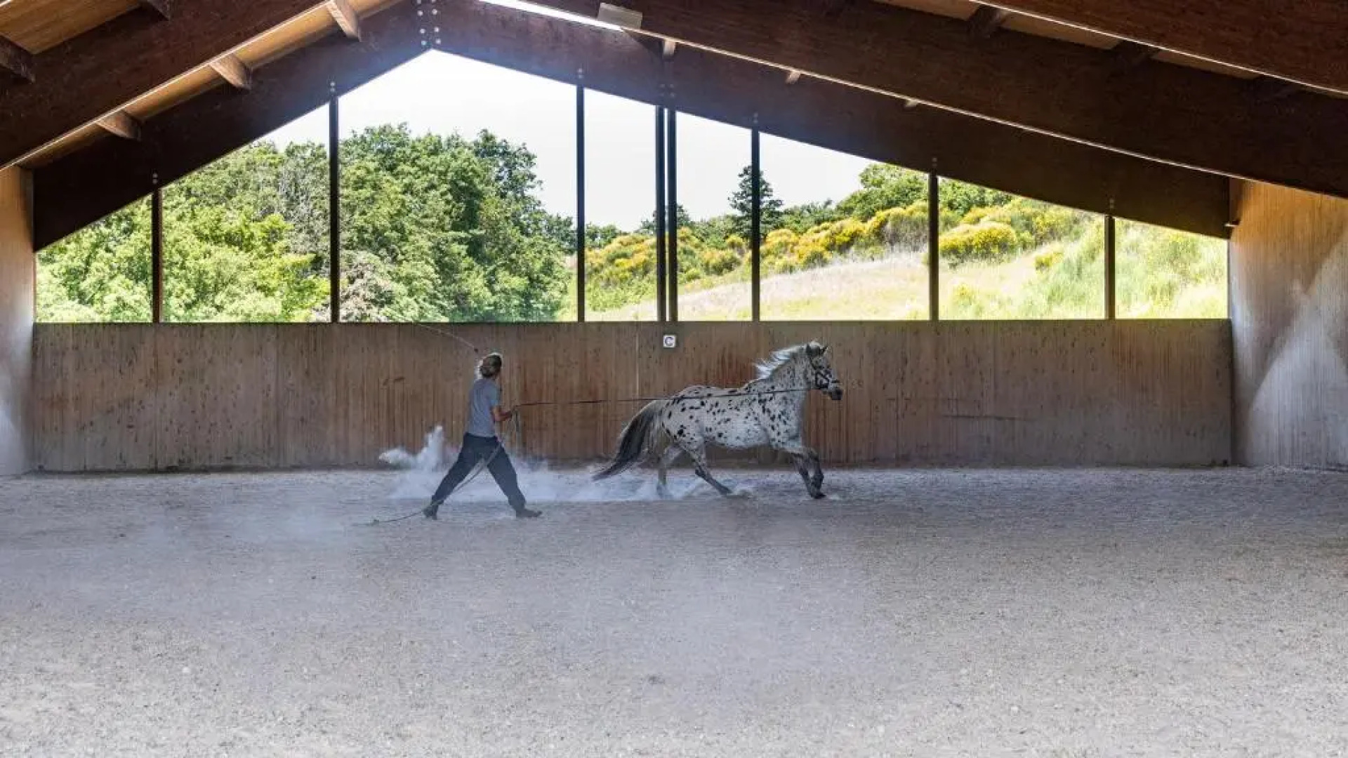 VILLA AIRONE 12, Emma Villas