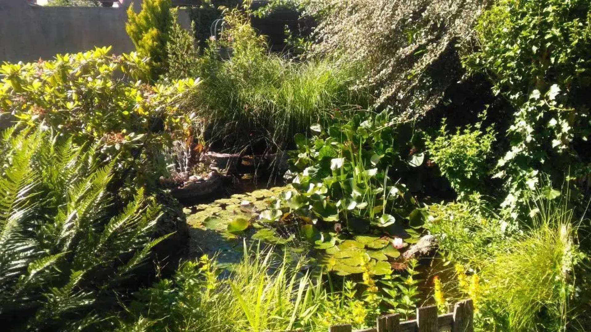 Petit Chez Soi Dans Mon Petit Chez Moi (Adults Only)