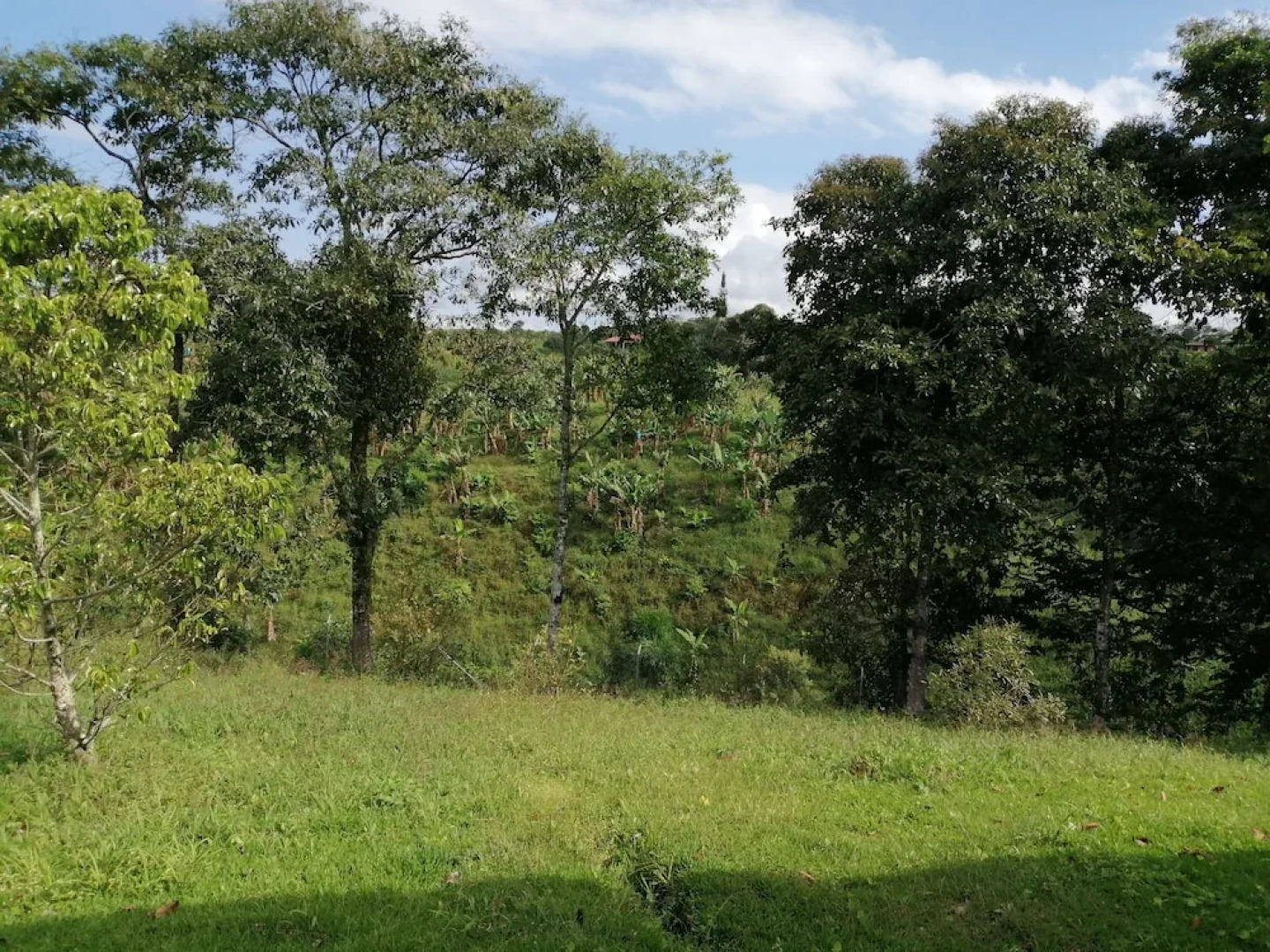 Finca Hotel Macadamia