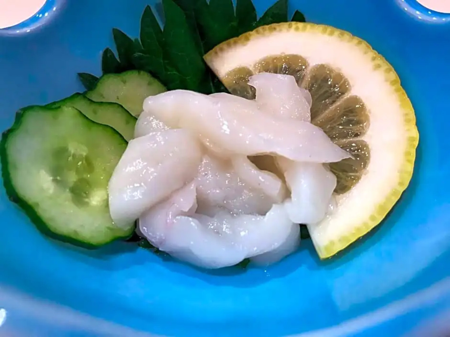 Ryokan Kaikoukan / Vacation STAY 9269