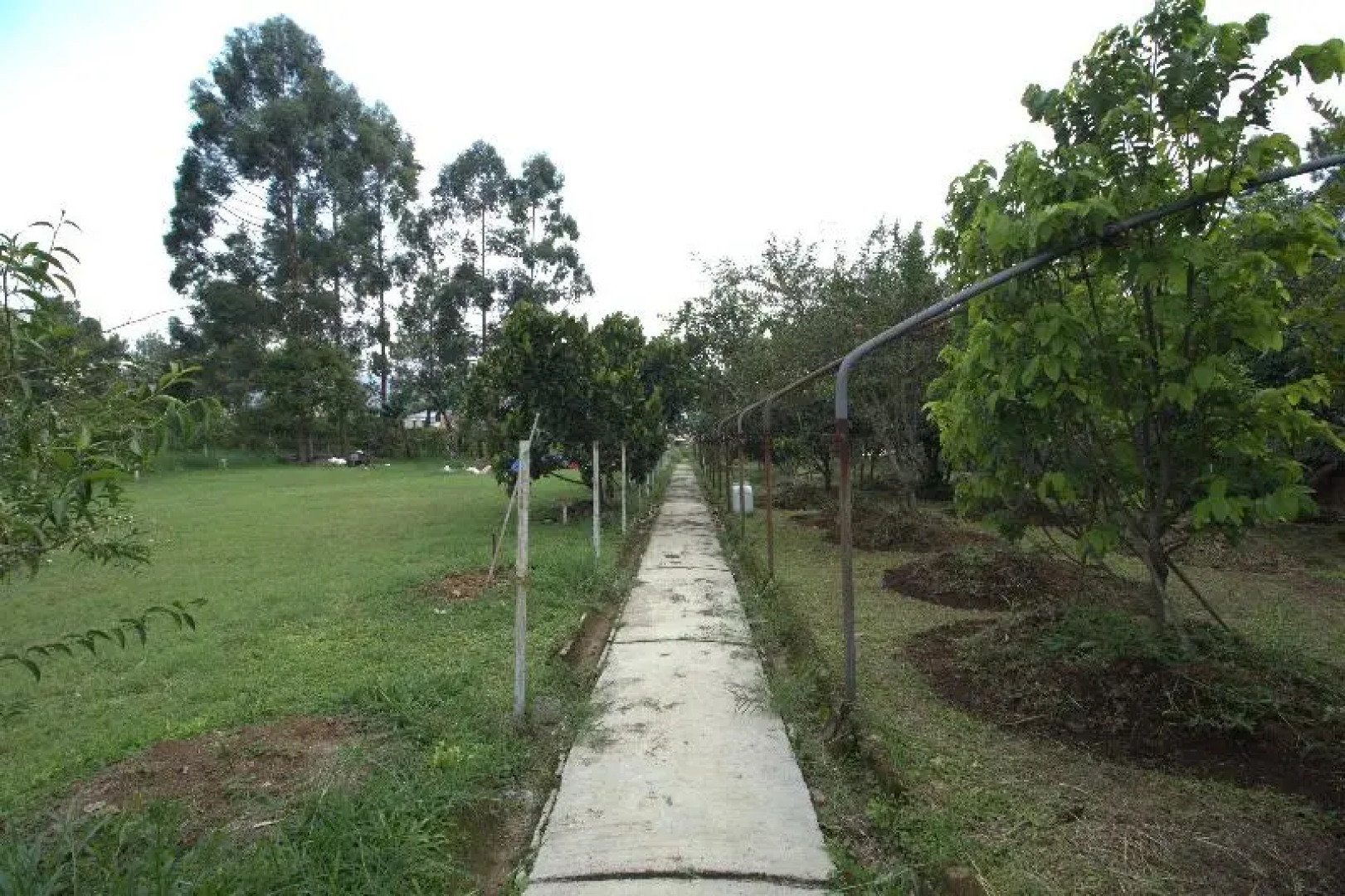 Nirwana Hotel Lembang