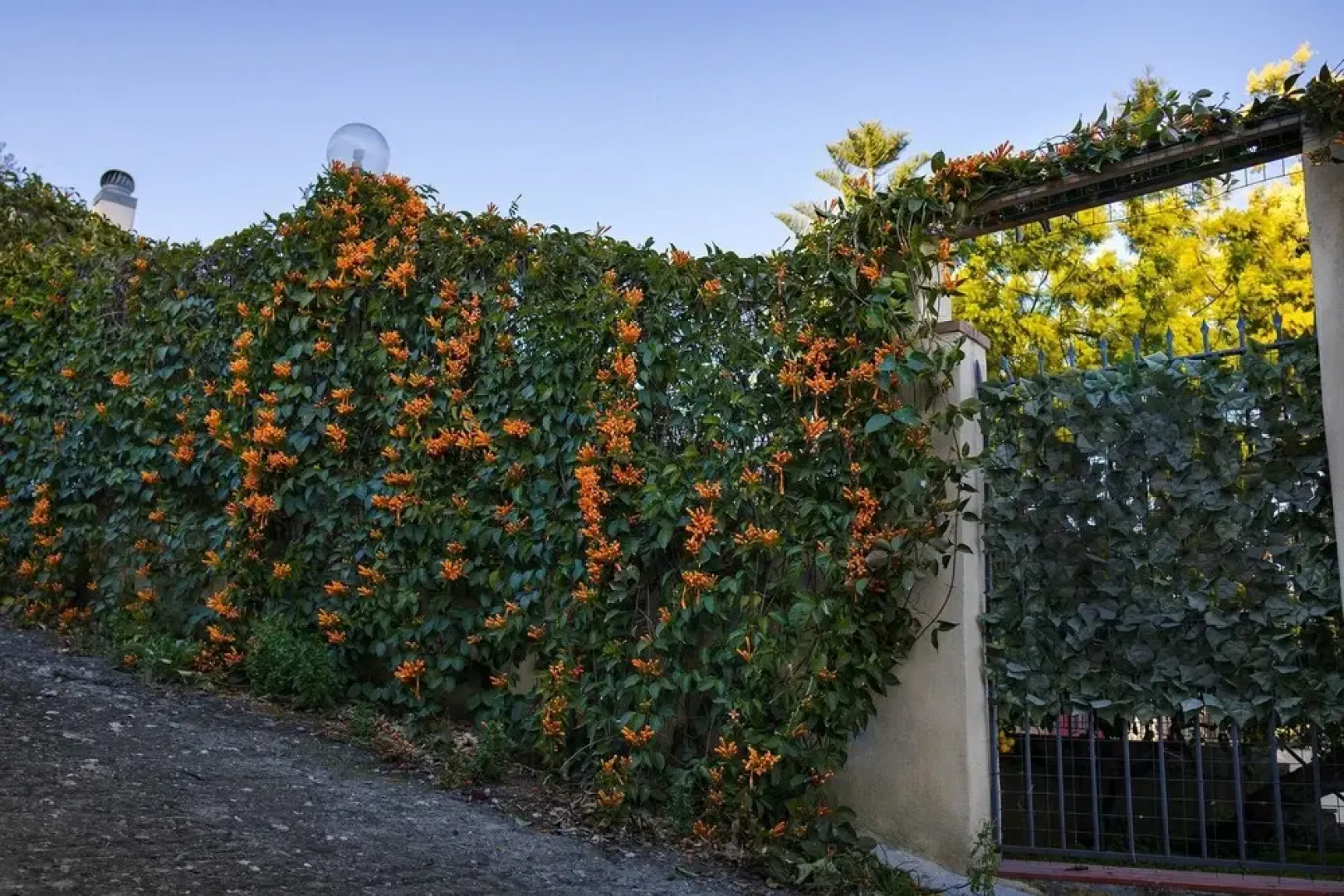Villa With one Bedroom in Santa Teresa di Riva, With Wonderful sea View, Private Pool and Enclosed Garden - 1 km From the Beach