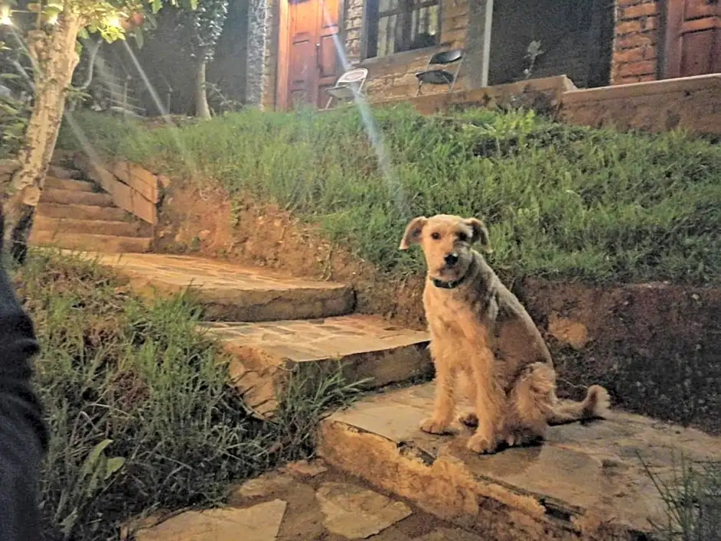 Habitación Cabaña Huapango #4