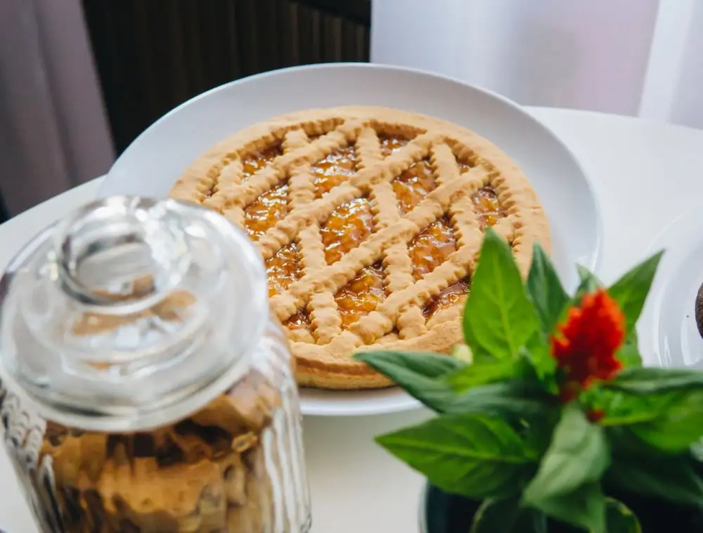 B & B Resort La Magnolia