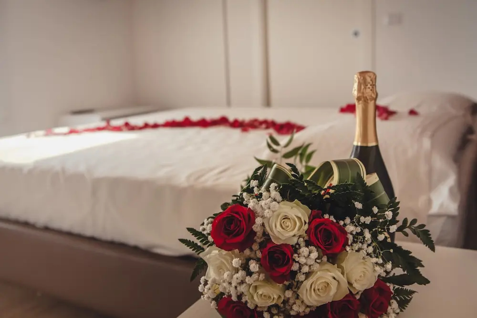 Terra Ferma Rooms & More