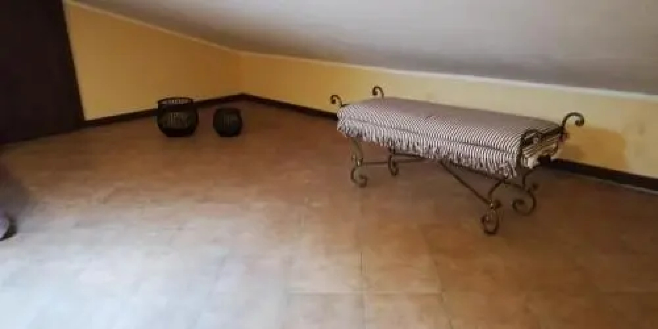 Al Brutto Anatroccolo