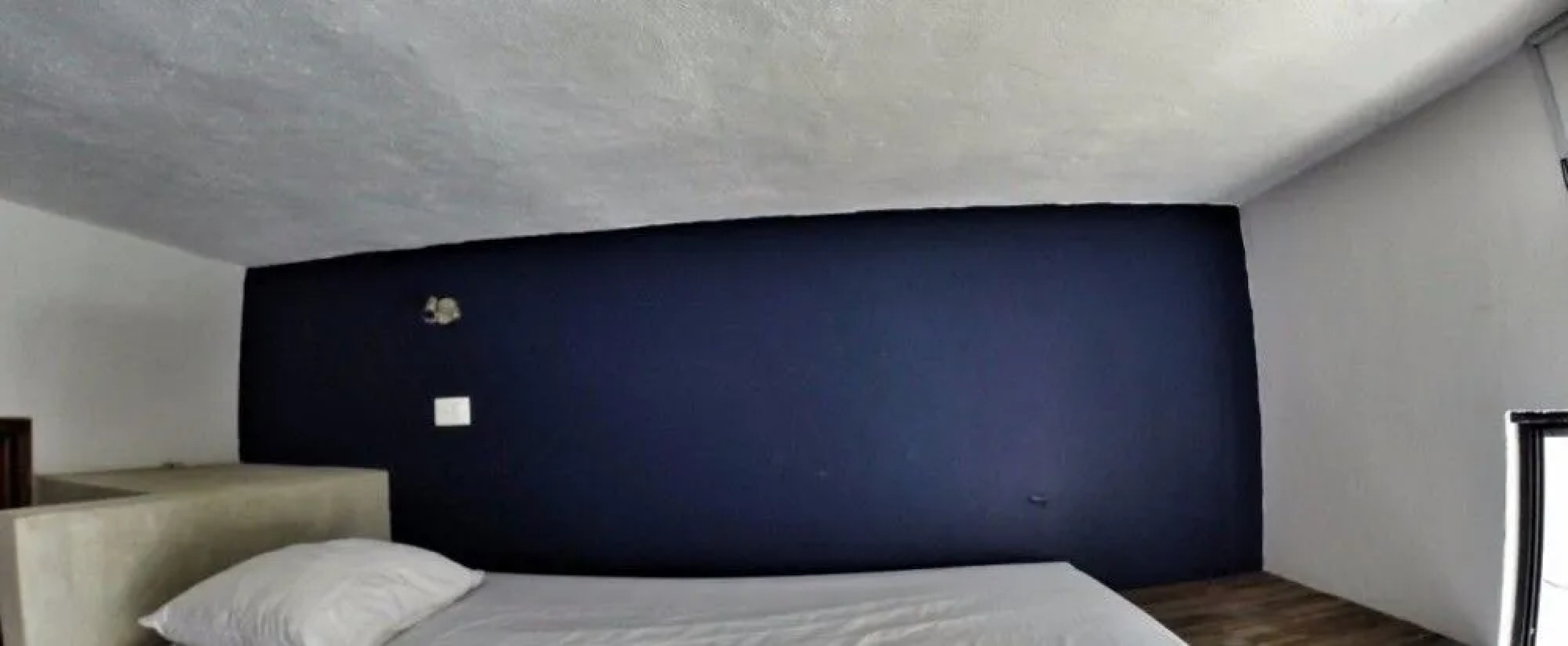 Lobo de Mar Hostel Playa del Carmen