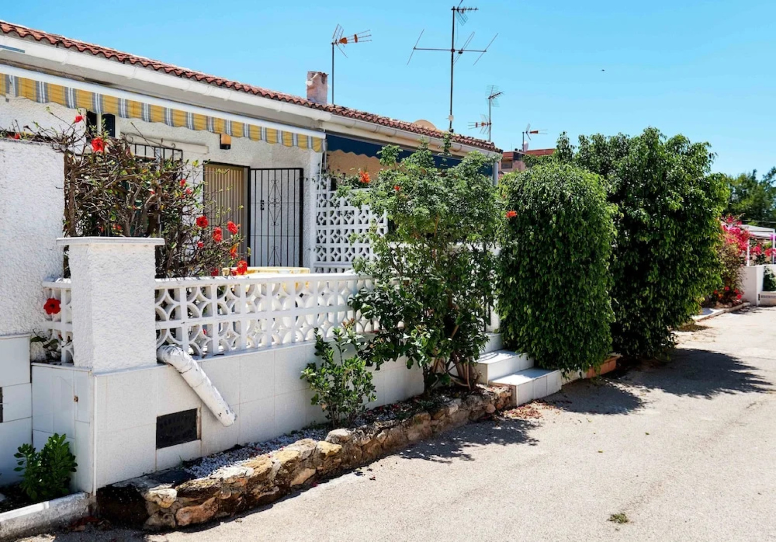 Espanhouse Pinomar 5