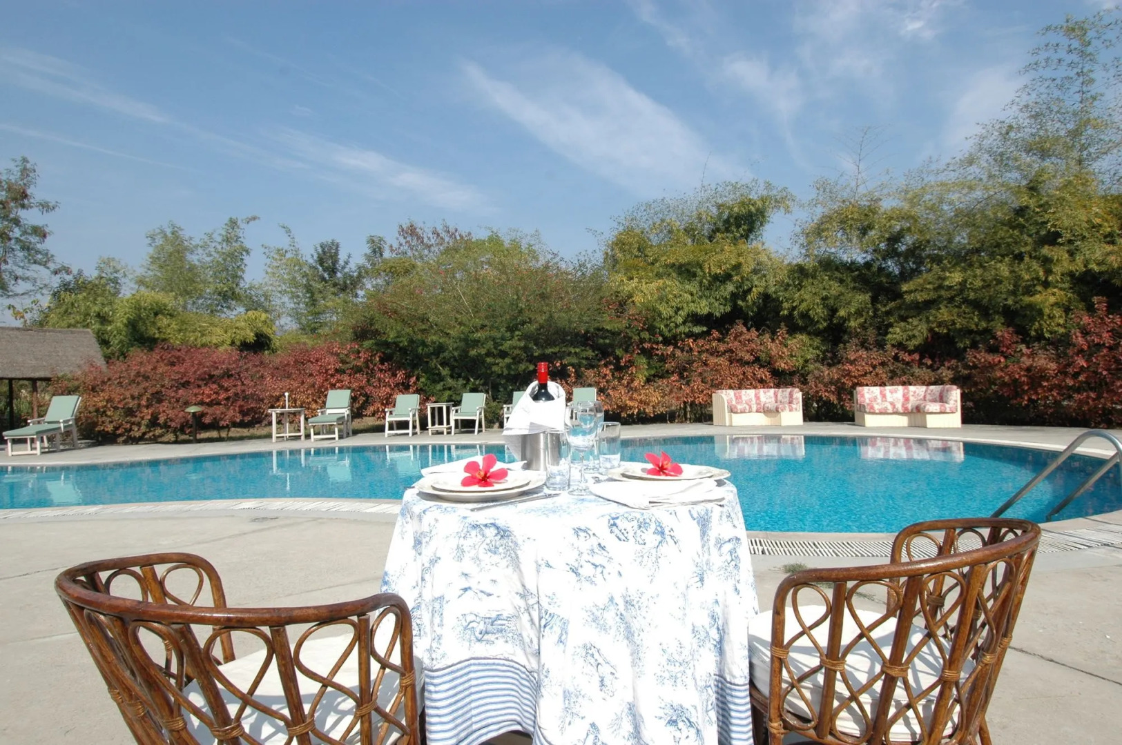 Jim's Jungle Retreat