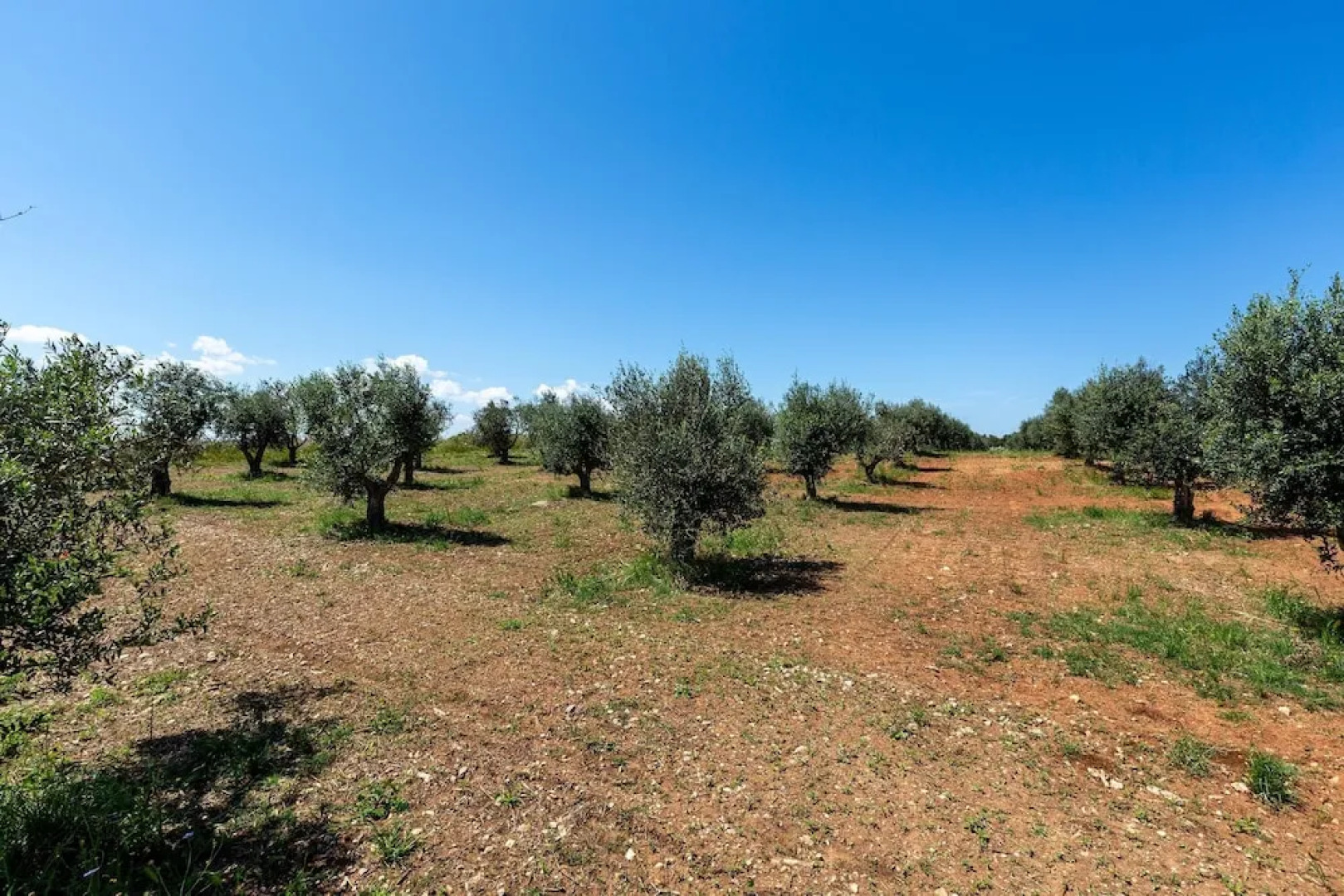 3421 Sikalindee - Casette PP by Barbarhouse