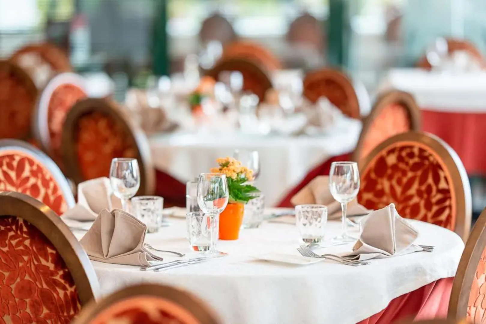 Logis _ Hotel Restaurant La Sapiniere