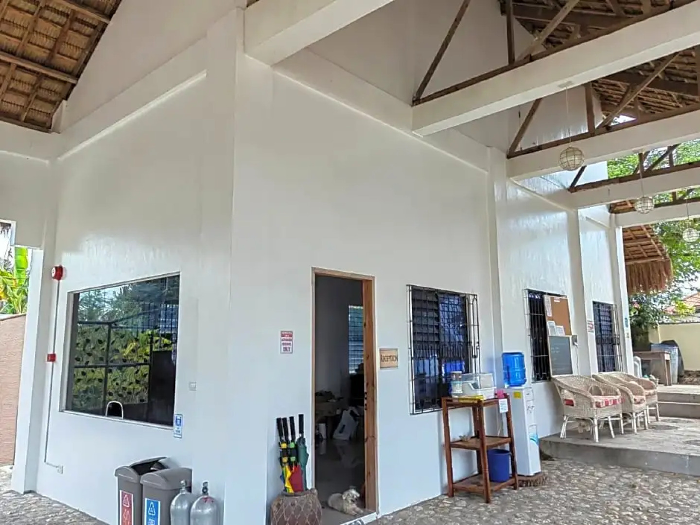 Divers Lodge Plumeria