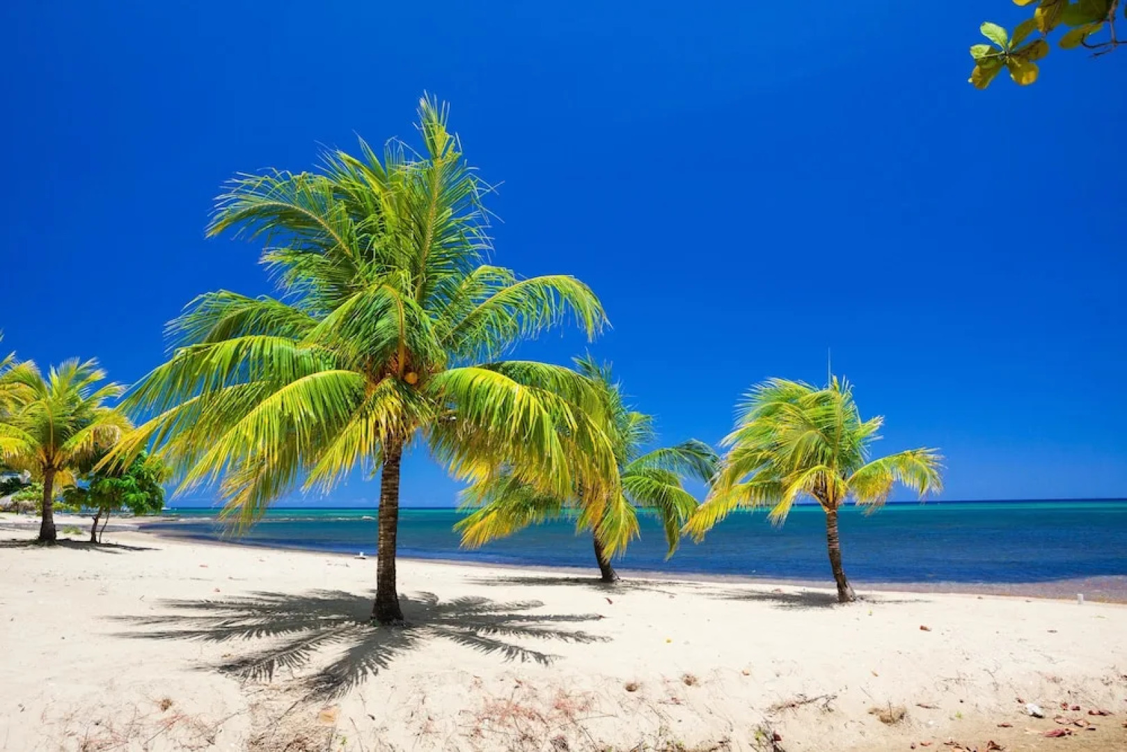 Lawson Rock Yellowfish 110