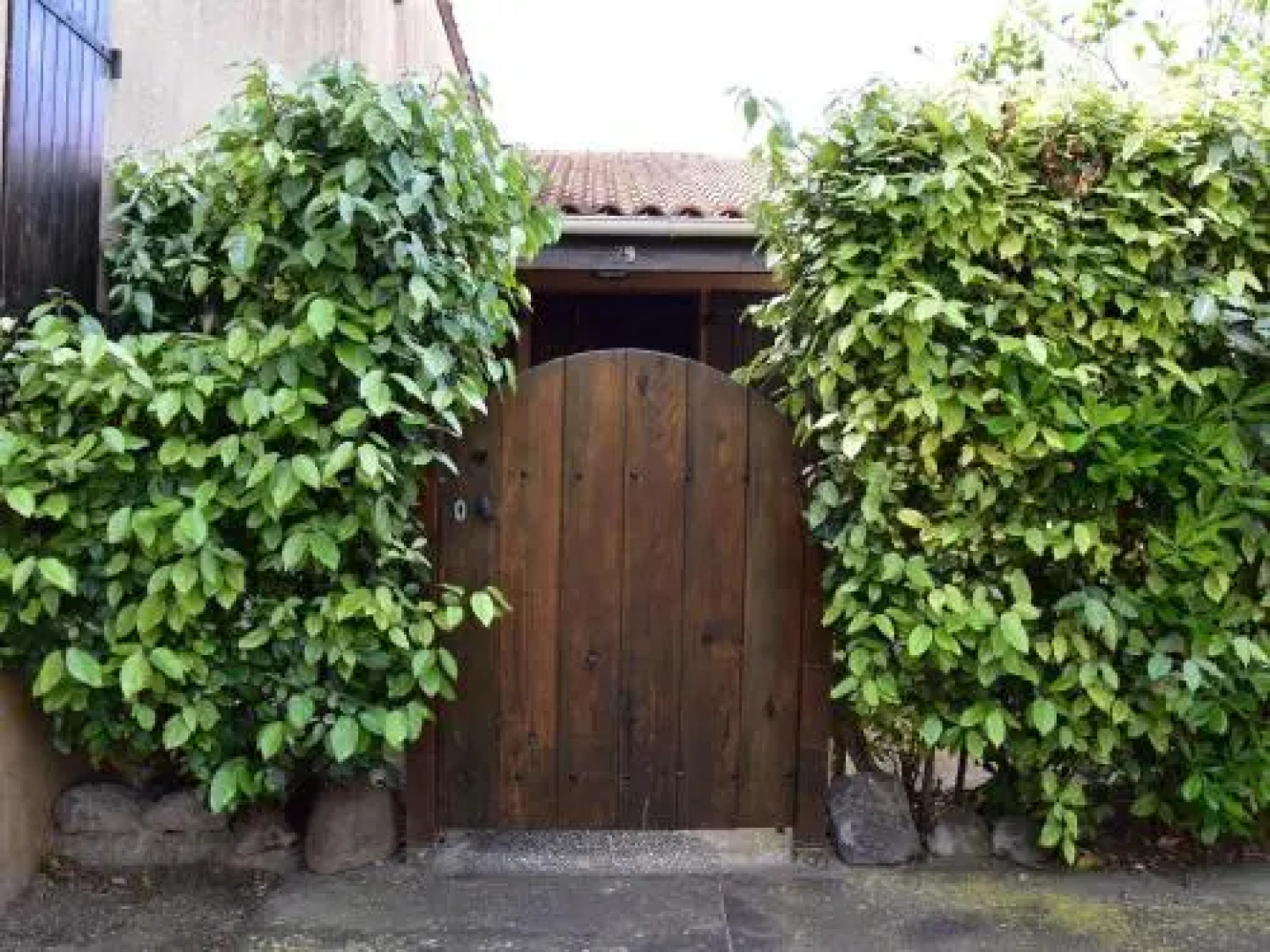 Appartement Gruissan, 4 pièces, 6 personnes - FR-1-229-80