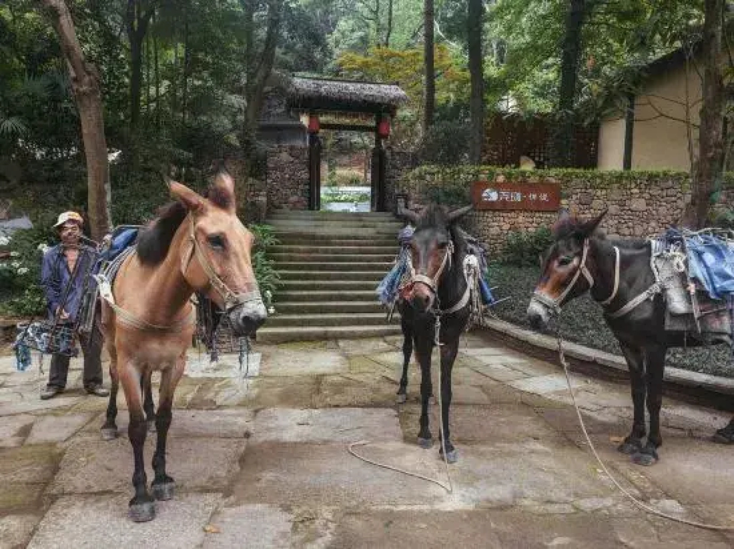 Yuan Chanyue Homestay (Wuxie Branch)