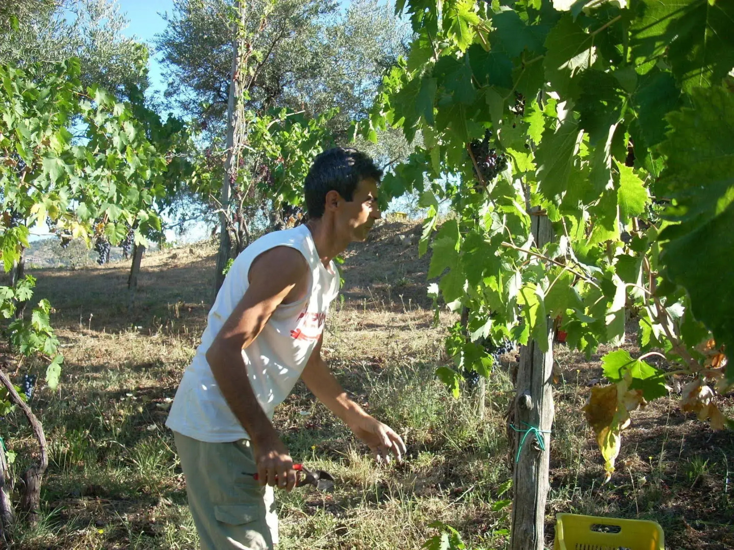 Country House Villa Nigro