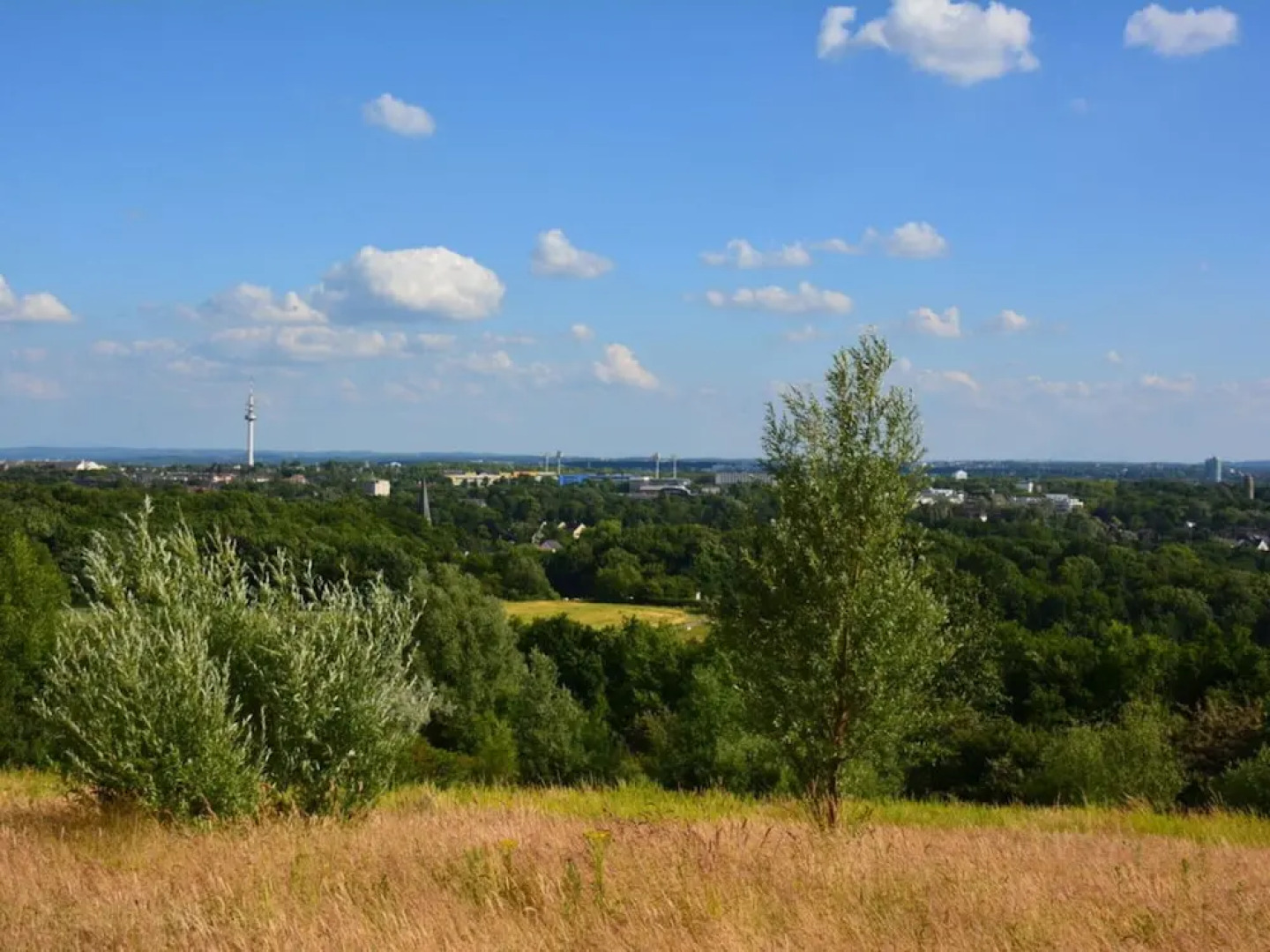 Holiday Apartment Anderewelt-bochum