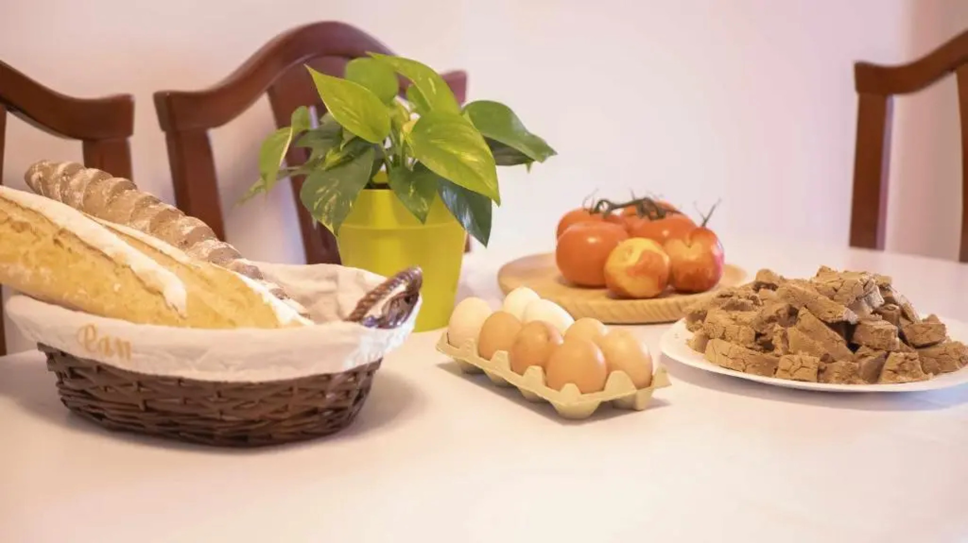 Canary Bio Hostel Tenerife