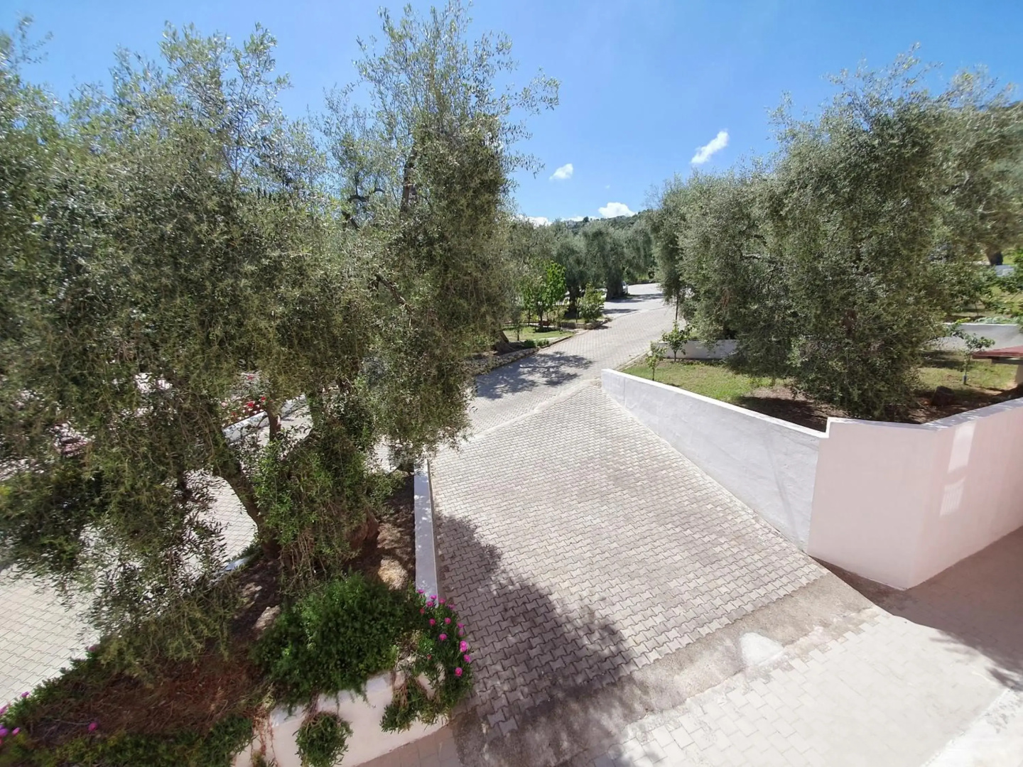 Hotel delle More