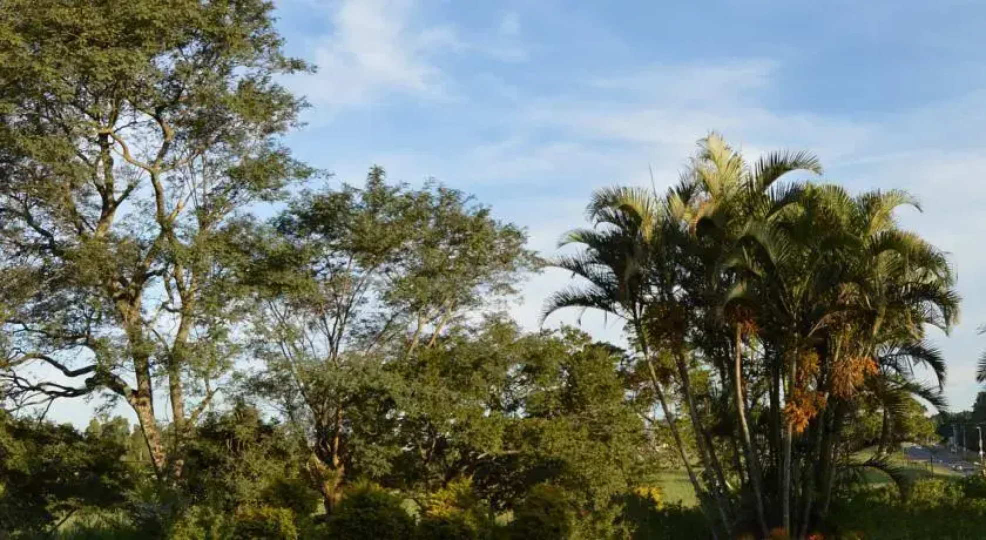 Aloe Guest Lodge