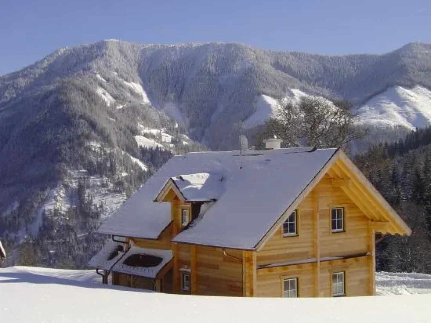 Ferienhaus Bichlhütte
