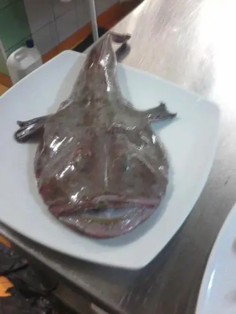 Affittacamere La Regina