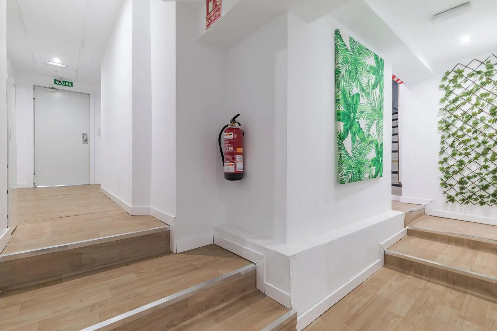 LooP América - Adults Only