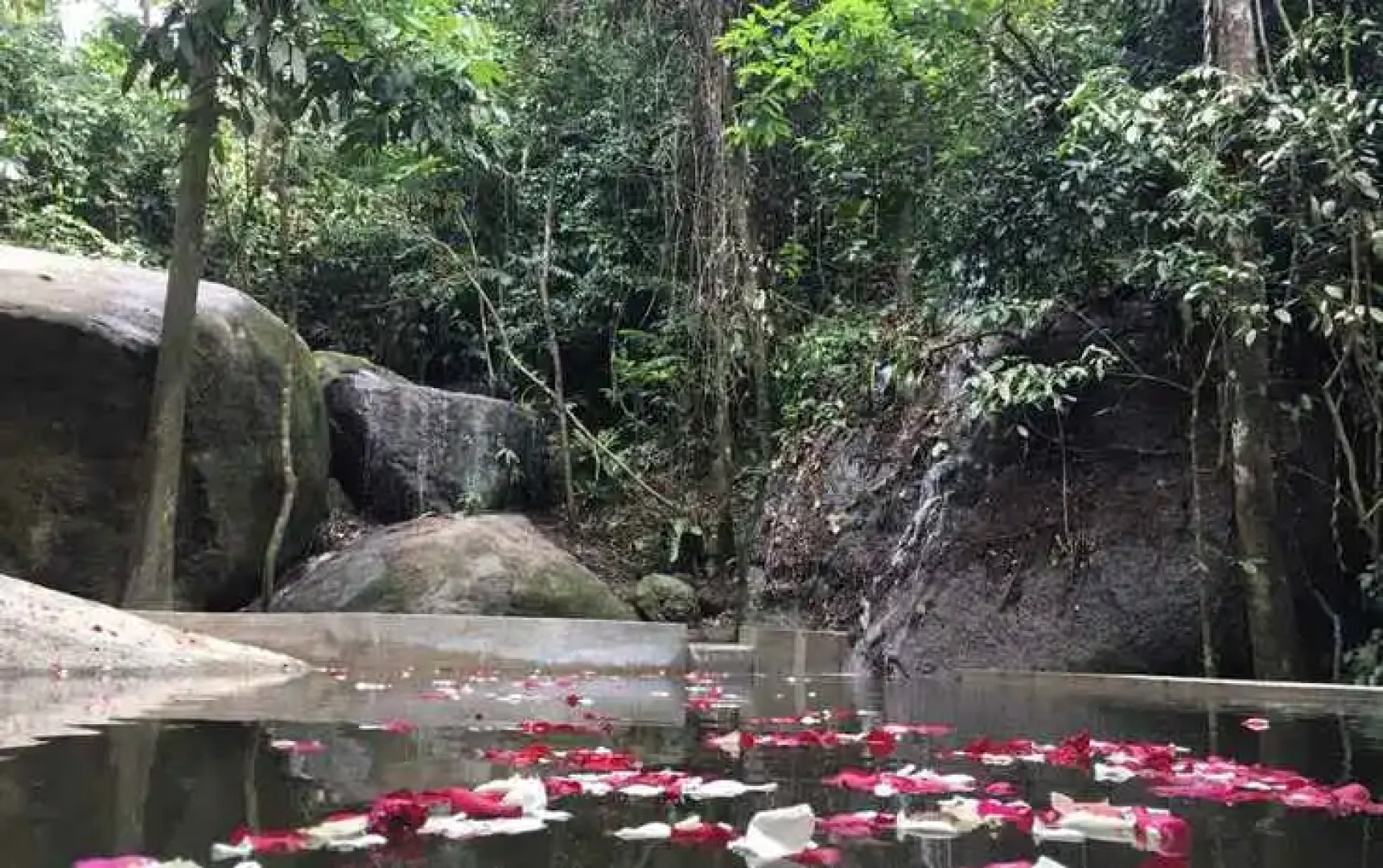 Gibbon Retreat Bentong