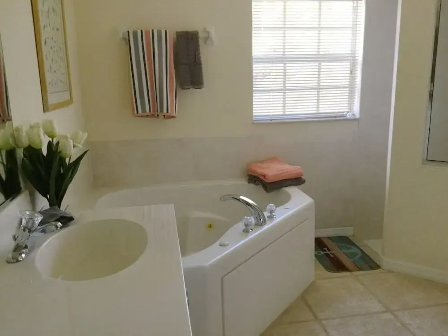 Sunny Daze Rotonda West