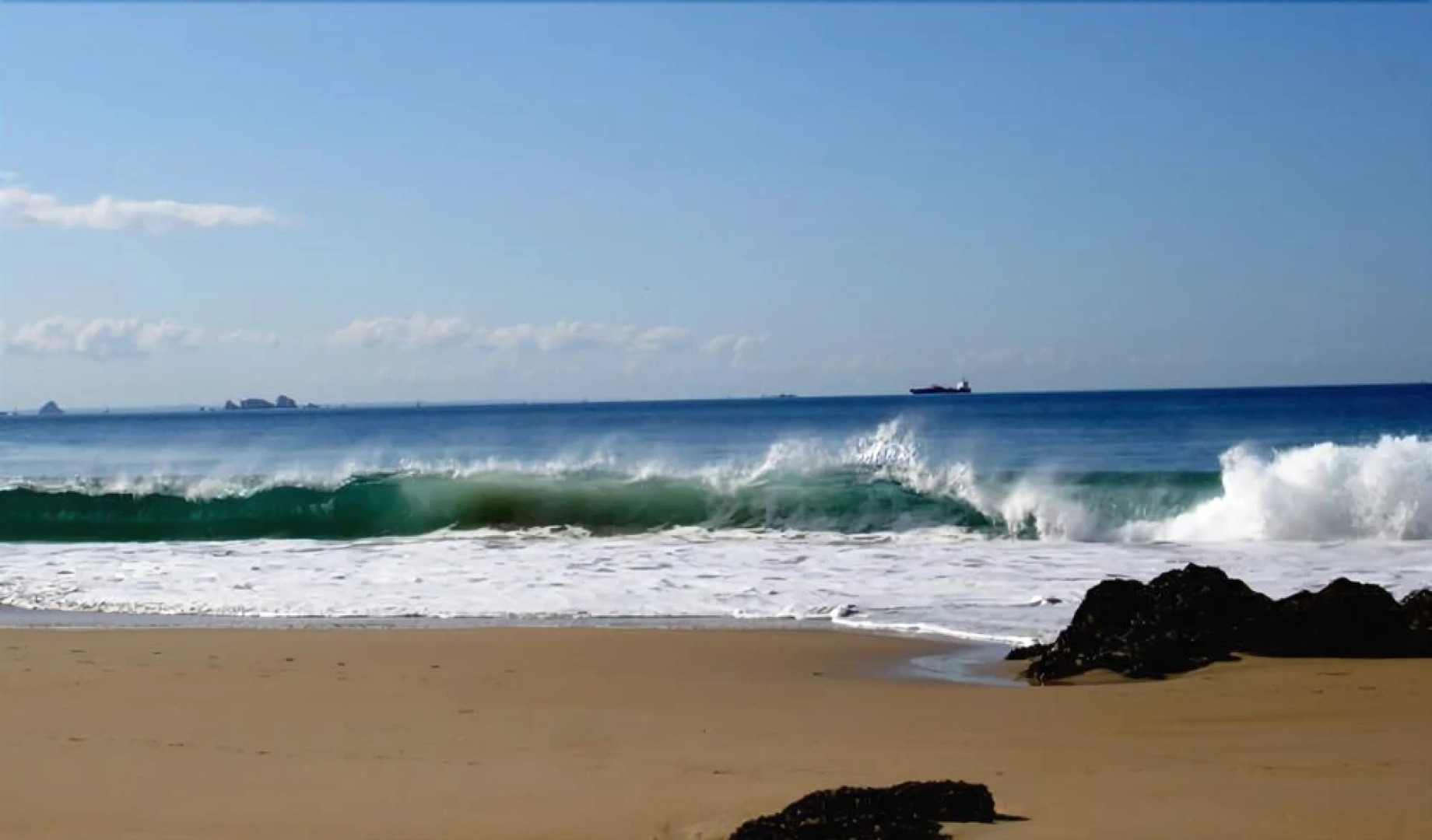 Camping les Palmiers