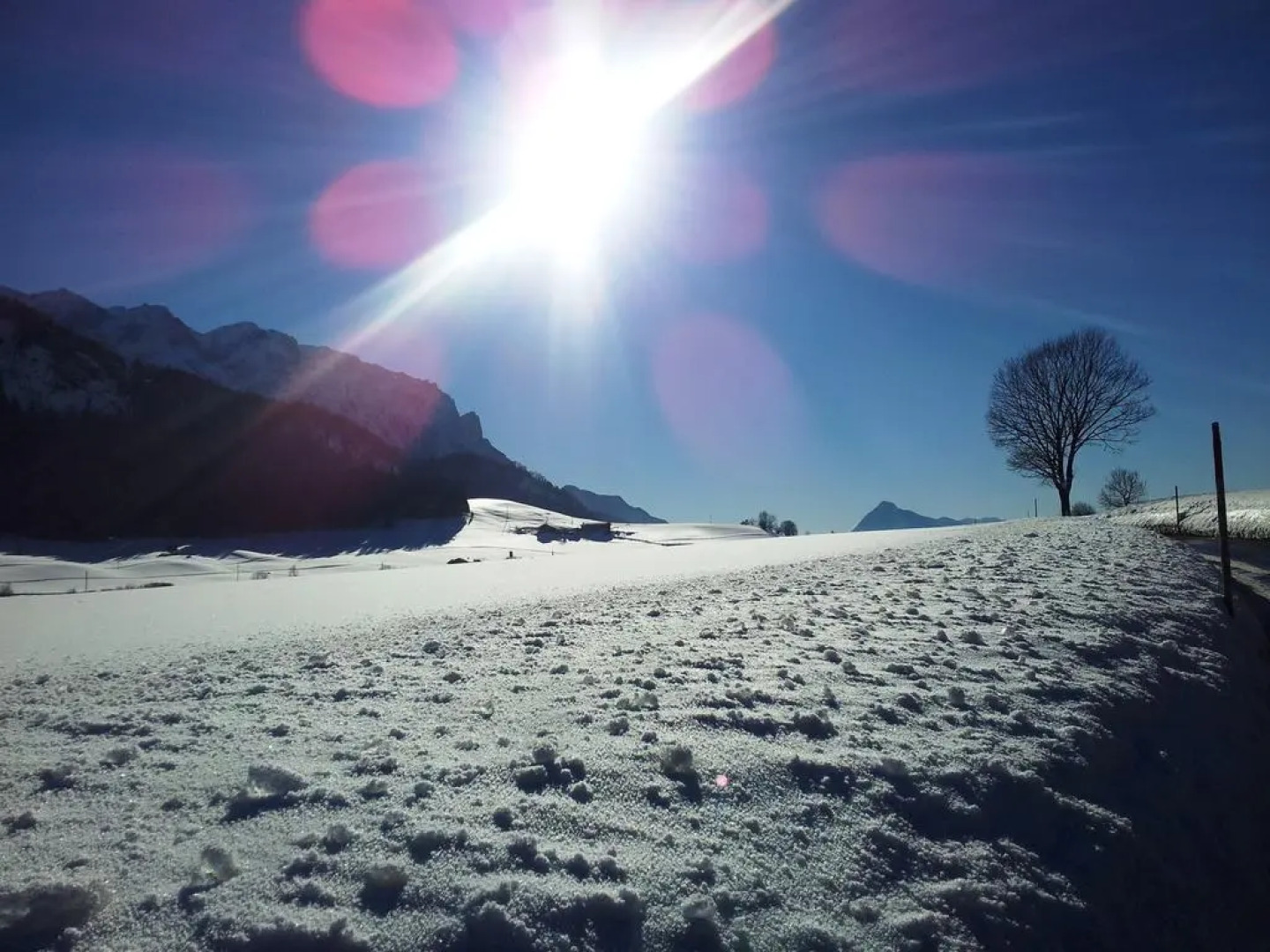 Postgasthof Fischerwirt