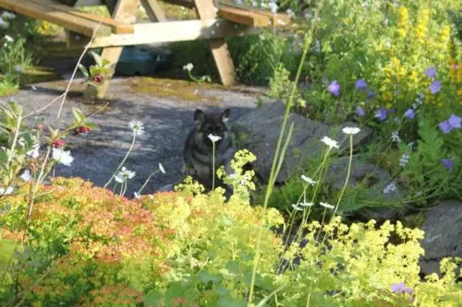 The Head At Middleton